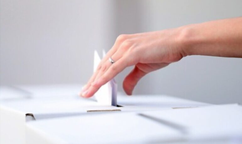 Elecciones internas de los partidos políticos